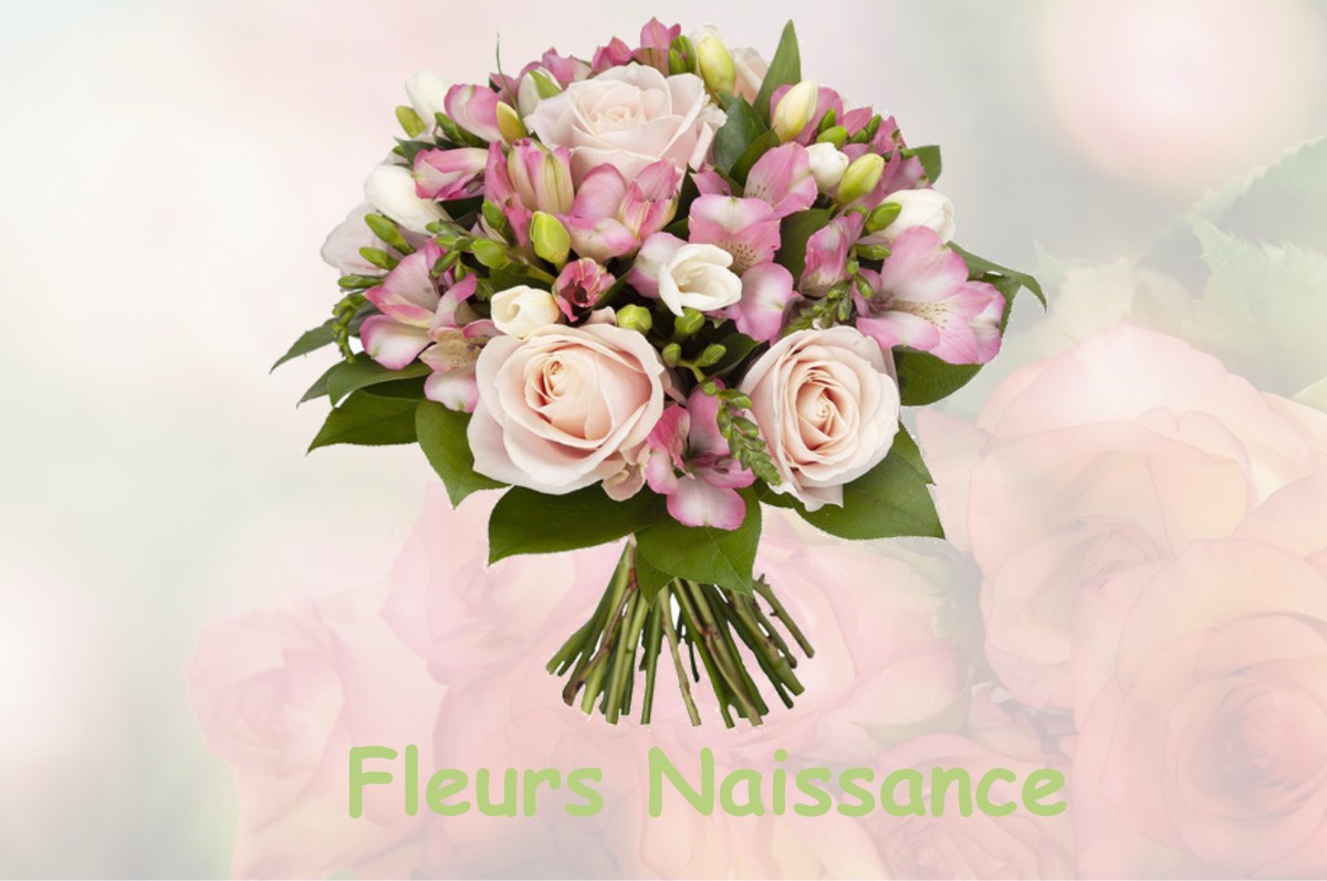 fleurs naissance SALESCHES