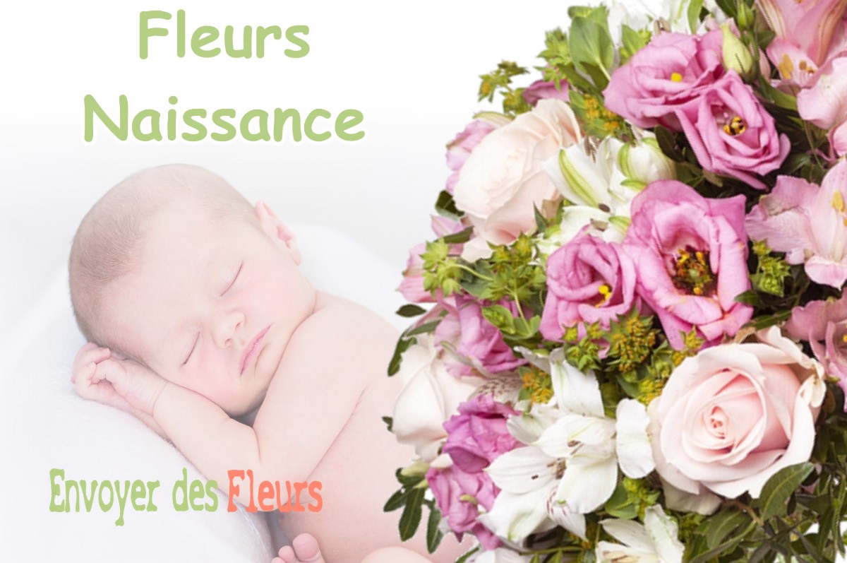 lIVRAISON FLEURS NAISSANCE à SALESCHES