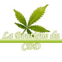 LA BOUTIQUE DU CBD SALESCHES 